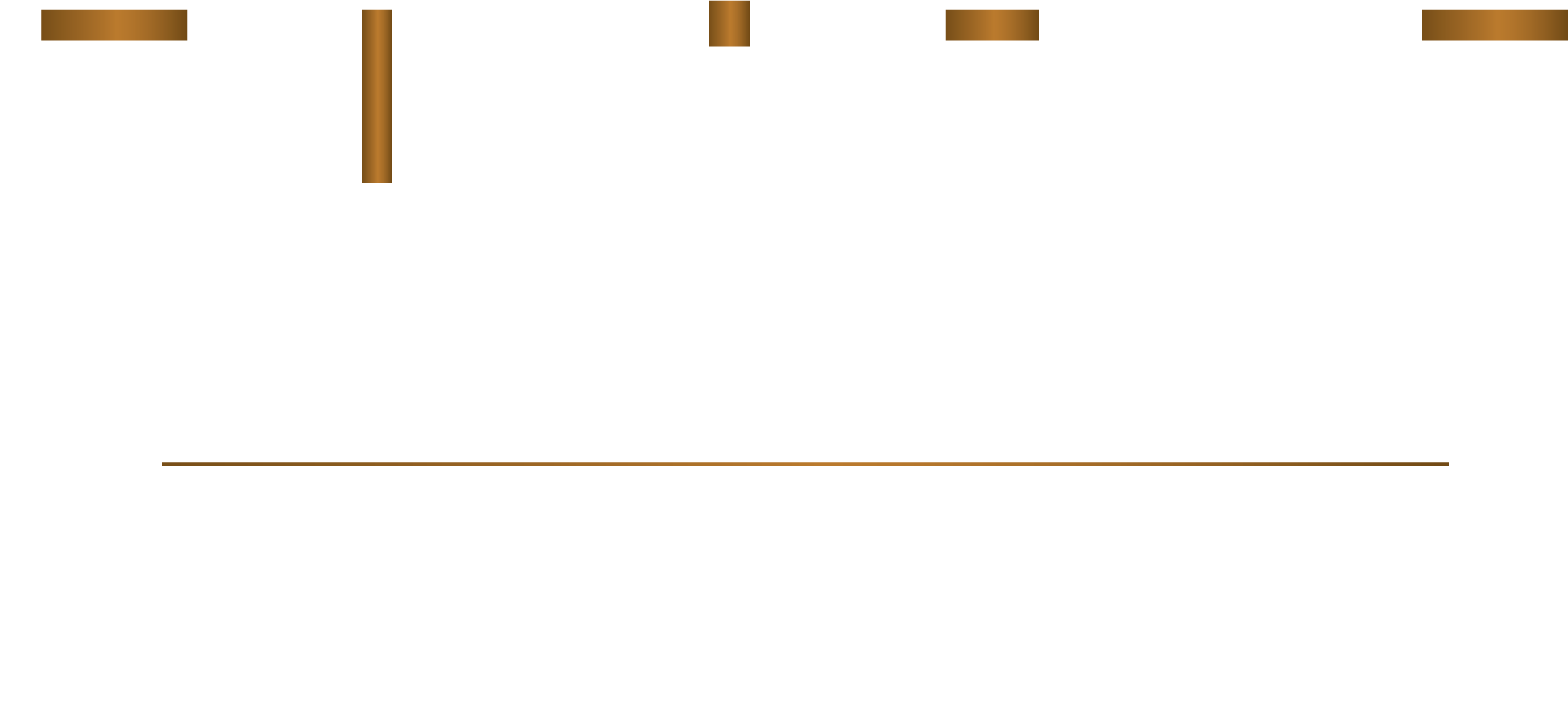 Nissan Elite Image