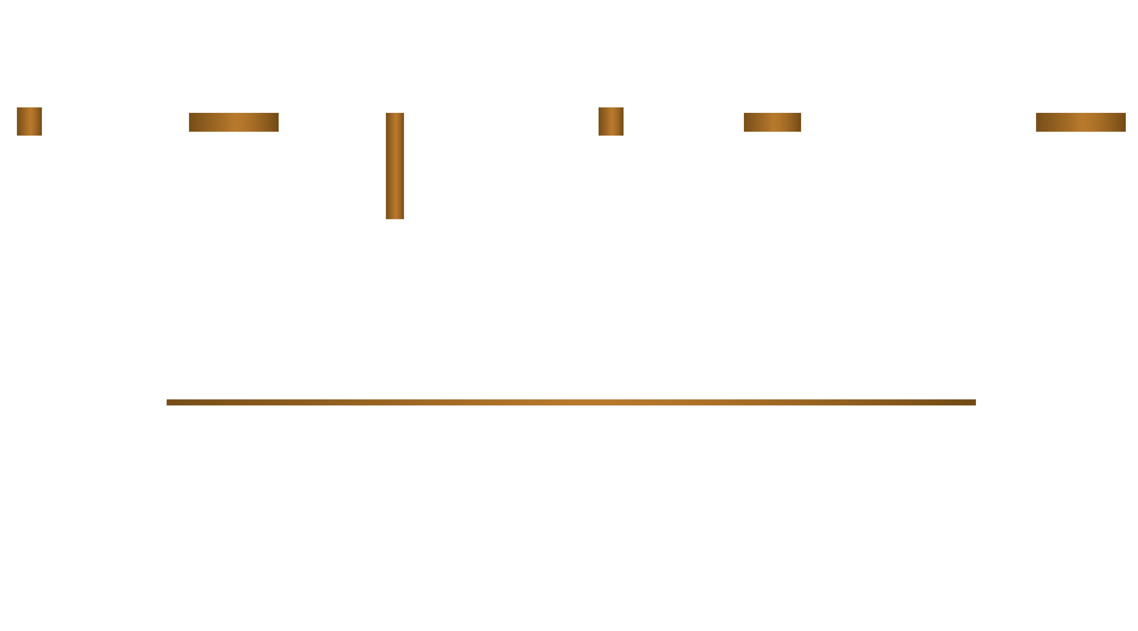 Nissan Elite Individual Image